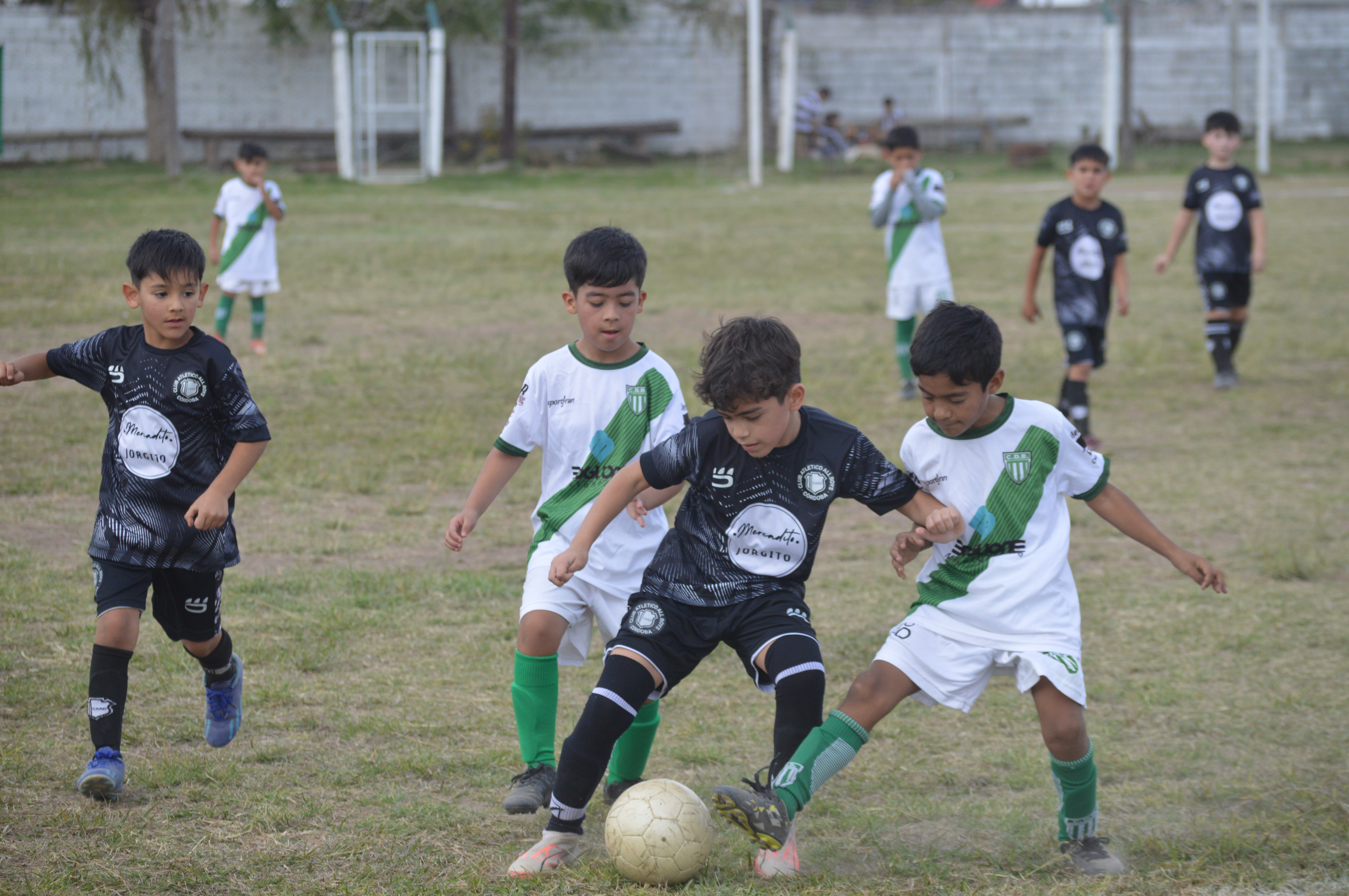 Imagen 2